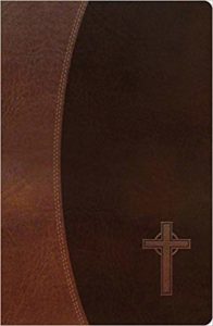 Brown Leather Bible