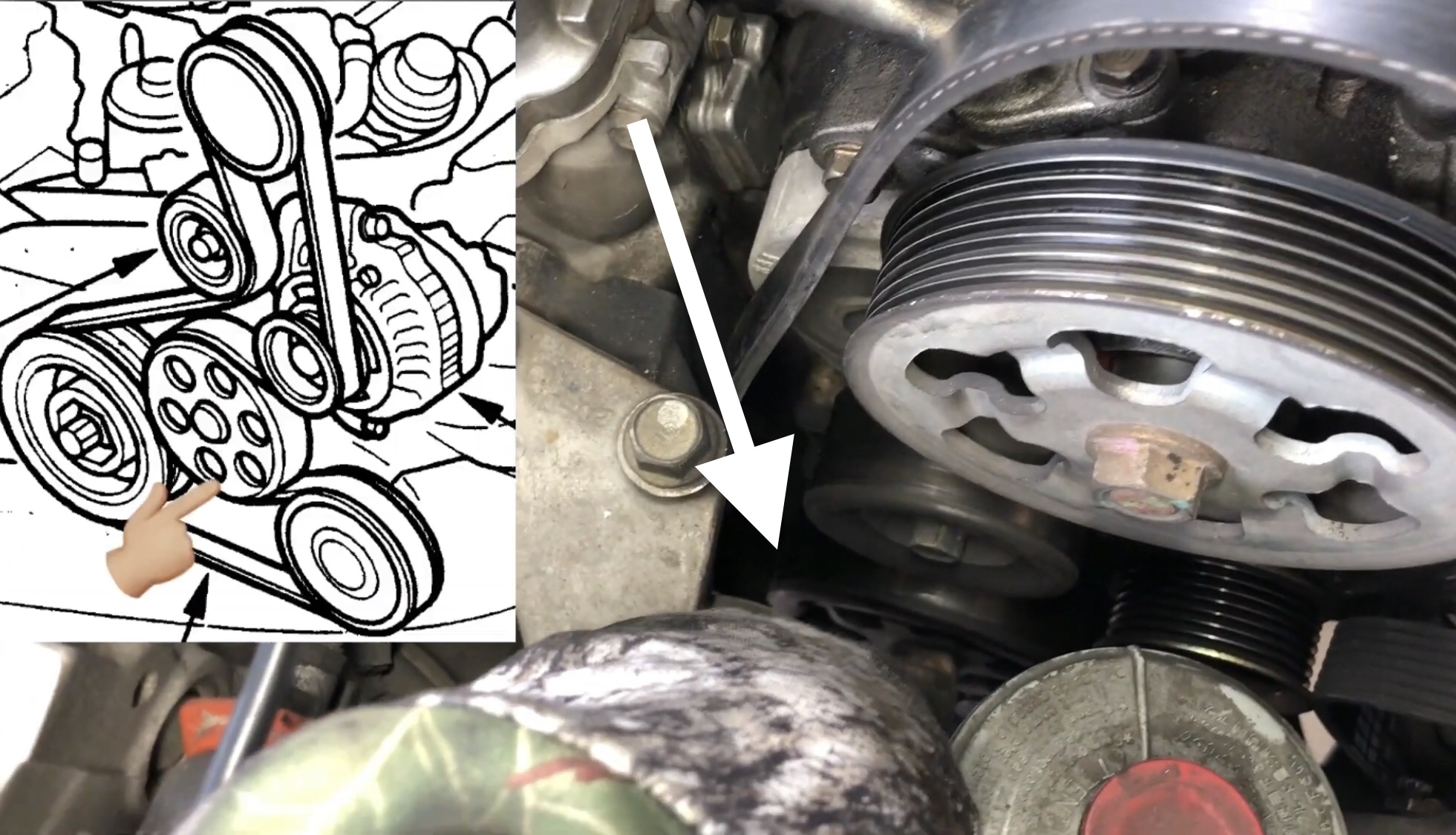 2006 Acura Tsx Belt Diagram 