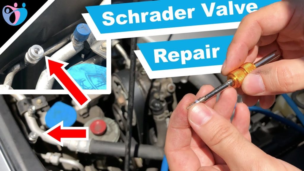 Kit 19 Pezzi Nucleo Valvola Per Aria Condizionata Auto R12/R134a, In Ottone E Alluminio, Con Custodia Metallica, Professionale